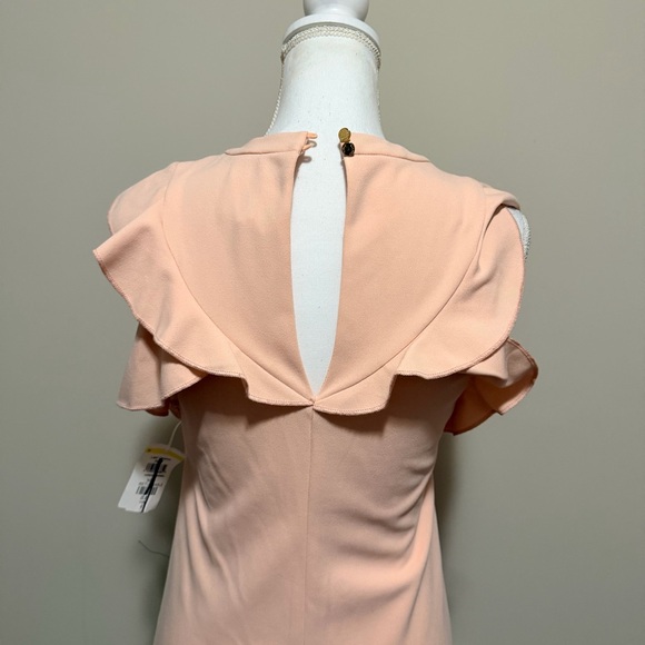 NWT Vince Camuto Pink V-Neck Sleeveless Ruffle Trim mini Dress Women’s Size 4 - Picture 10 of 11